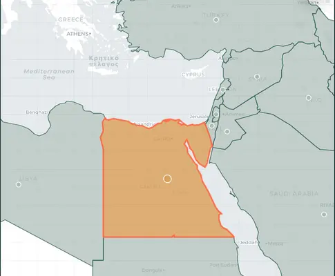 عرض توضيحي لواجهة التحقق الطبي من فتبينوا